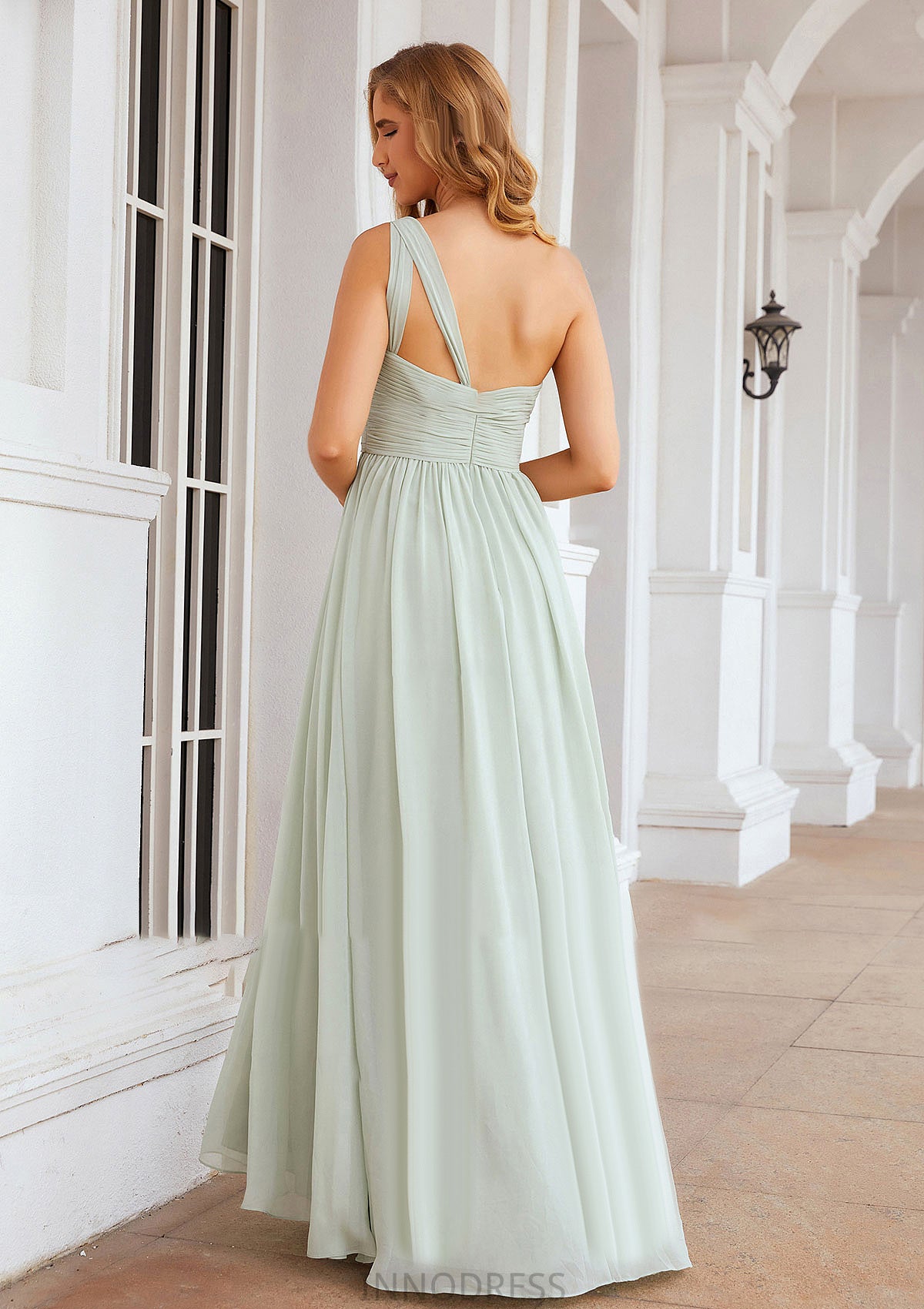 A-line One-Shoulder Sleeveless Chiffon Long/Floor-Length Bridesmaid Dresses With Pleated Dania DPP0025382